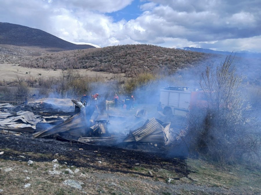 Merr flakë stalla në Kolonjë  digjen misër  elb dhe jonxhë