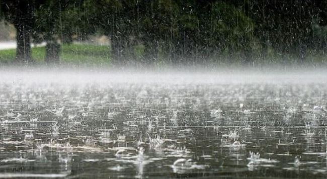 Parashikimi i motit për sot  26 mars 2026