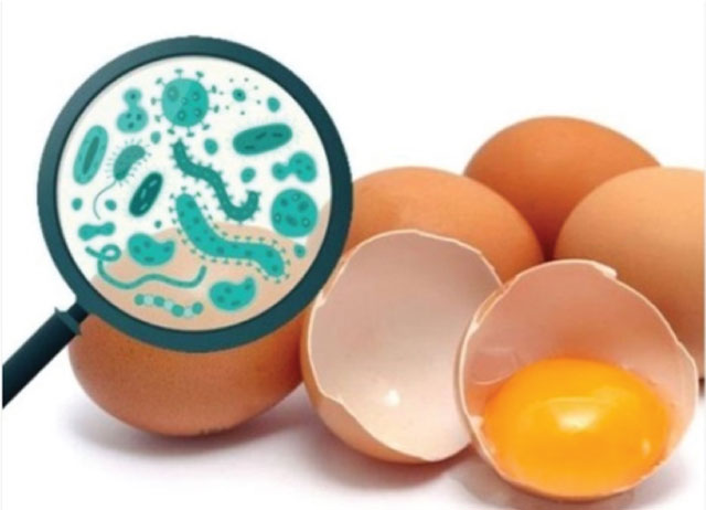 AKU si ushqim i kontaminuar  shqiptarët konsumuan 4 1 mln vezë pa kontroll dhe datë