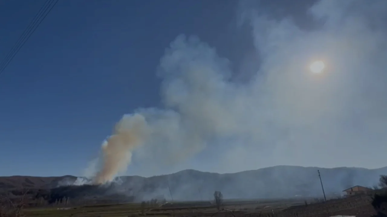 Zjarri djeg një sipërfaqe pyjore në Leshnicë të Pogradecit