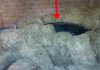 VIDEO/ Vrasja e dyfishtë në Lezhë, mjeti që u gjet sot ishte marrë me qira në Rinas dhe…
