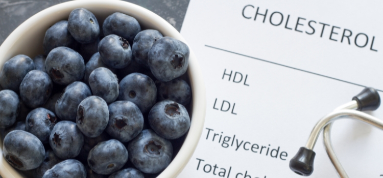Sëmundja e Kolesterolit dhe çfarë bimësh medicinale e ushqimesh mund të përdorim 