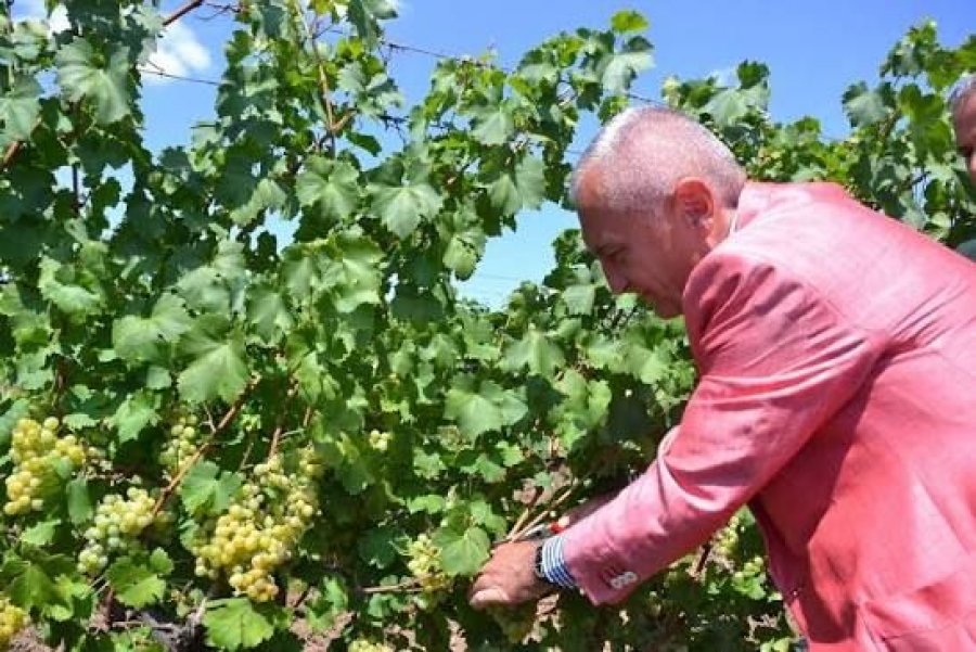 Meta  Politikat diskriminuese në bujqësi po falimentojnë fermerët dhe po favorizojnë një pakicë