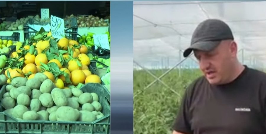  Shumë toka djerr   Fermeri  Plehu kushton 1 milion lekë  do e mbjell misrin pa të  na mbyti importi 