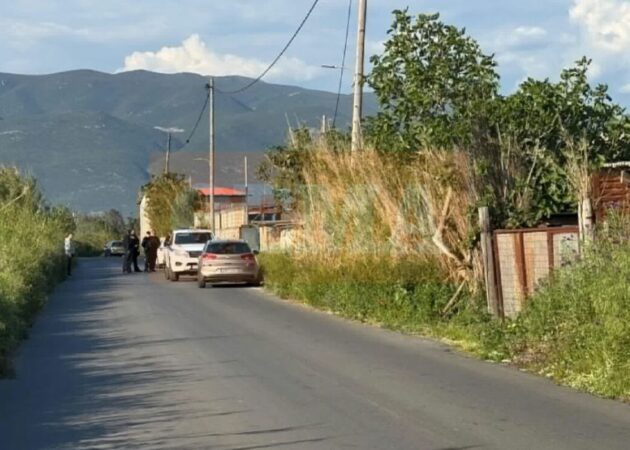 Shqiptari u gjet i vrarë me plumb në kokë në një stallë  merret në pyetje bashkatdhetari  Policia në kërkim të armës së krimit  sekuestron   