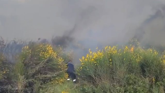 Zjarr në Vlorë  era e fortë përhap me shpejtësi flakët në kodra dhe zonat me ullishte