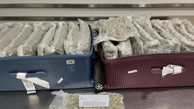 Nga Bangkoku drejt Italisë me valixhen e mbushur me drogë  shqiptari arrestohet në  Malpensa 