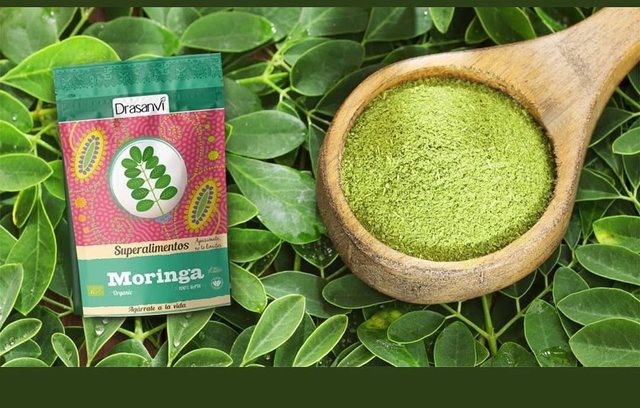 Zbulohet salmonelë në suplementin  Moringa organic   AKU  Nga gjithë sasia e importuar  gjysma është shitur 