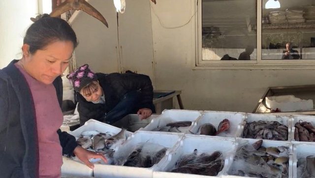 Biznesi merr punëtorë të huaj  por 68 mijë vendas të papunë  Filipinet  India  Egjipti  furnizojnë  Shqipërinë me punonjës