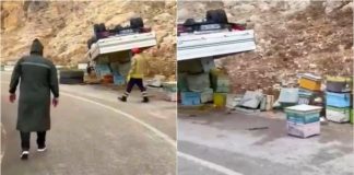 Kamioni me koshere bletësh përmbyset në Mallakastër, bletët pushtojnë rrugën (VIDEO)