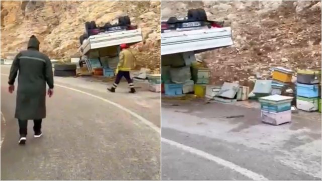 Kamioni me koshere bletësh përmbyset në Mallakastër  bletët pushtojnë rrugën  VIDEO 
