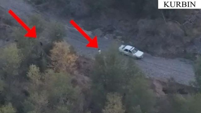 Operacion antidrogë në Kurbin  policia kap  mat  në paracelën me kanabis dy të rinjtë  arrestohen