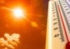 Temperaturat deri në 10 gradë mbi normalen, ja si parashikohet moti për fundjavën