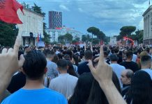 “Pelikanin kaçurrel do ta sjellim në Surrel”, protestuesit shfrenojnë fantazinë, thirrjet pikante nga protesta