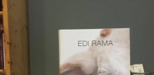 Elvira Dones:Nuk di si fle e si zgjohet Kryeministri shqiptar; nuk kam si ta di