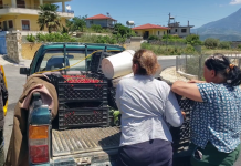 ‘Qershia po na kalbet në pemë’/ Fermerët e Drobonikut: Po falimentojmë, s’ka treg dhe as mbështetje nga shteti