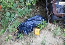 “Kalibri”/ Goditen 2 raste të mbajtjes pa leje, të armëve të zjarrit, 3 të arrestuar në Durrës