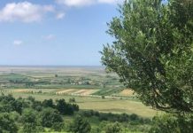 Kushte atmosferike të qëndrueshme/ Parashikimi motit për ditën e sotme, 19 Qershor 2026