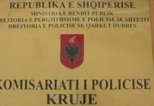 Operacion anti-drogë në Krujë, gjenden 100 parcela në zonat malore, asgjësohen 5 mijë rrënjë kanabis