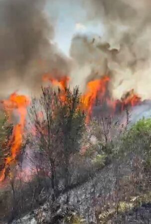 Përfshihen nga flakët sipërfaqe toke pranë Parkut Arkeologjik të Bylisit  ndërhyhet me helikopter për shuarjen e zjarrit