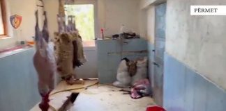 Kishte kthyer shtëpinë në thertore dhe mbetjet i hidhte në lumin Vjosë, arrestohet 62-vjeçari