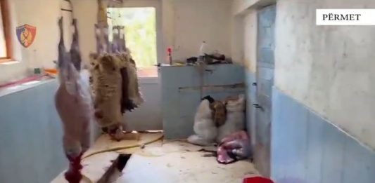Kishte kthyer shtëpinë në thertore dhe mbetjet i hidhte në lumin Vjosë, arrestohet 62-vjeçari