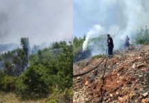 Vatër masive zjarri në Qafë Thanë, flakët përhapen me shpejtësi nga temperaturat e larta dhe era