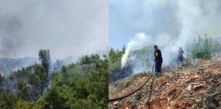 Vatër masive zjarri në Qafë Thanë, flakët përhapen me shpejtësi nga temperaturat e larta dhe era