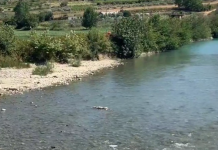 Tragjedi në Berat/ Hyri në lumë për t’u larë, mbytet 15-vjeçari