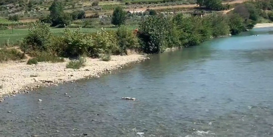 Tragjedi në Berat  Hyri në lumë për t u larë  mbytet 15 vjeçari