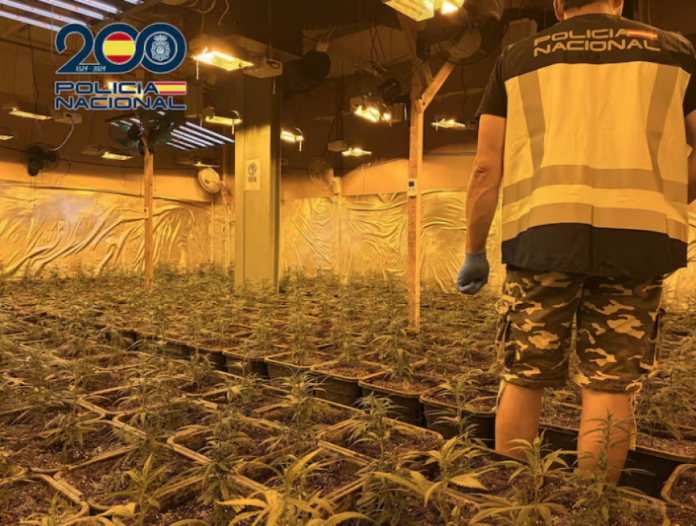 auto_plantacioni1783944108