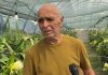 Qytetarët e Divjakës kundër bashkimit me Lushnjën: “Duhet të udhëtojmë dhjetëra kilometra për një shërbim”
