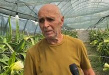 Qytetarët e Divjakës kundër bashkimit me Lushnjën: “Duhet të udhëtojmë dhjetëra kilometra për një shërbim”