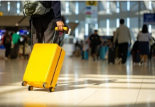 Alarmante! Shqipëria humbi 23.6% të popullsisë në 25 vjet