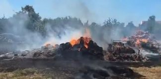 Ndezi zjarr për djegien e mbeturinave, por flakët shkrumbuan tokën e fqinjit dhe e plagosën! Arrestohet 57-vjeçari në Lushnje