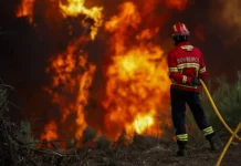 Zjarre të mëdha në Francë, Spanjë dhe Portugali! Dhjetëra mijëra hektarë të djegur