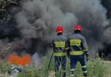 Përfshihet nga flakët një varrezë makinash, një re e zezë tymi mbulon zonën. Zjarrfikësit në vendngjarje