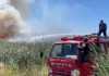 Vatër zjarri në plazhin e Tales, flakët përfshijnë zonën me kallamishte dhe avancojnë përgjatë bregdetit