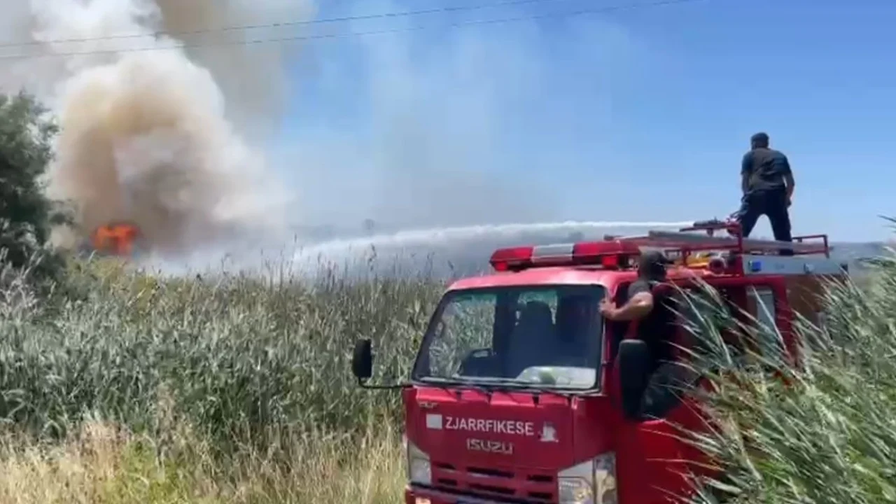 Vatër zjarri në plazhin e Tales  flakët përfshijnë zonën me kallamishte dhe avancojnë përgjatë bregdetit