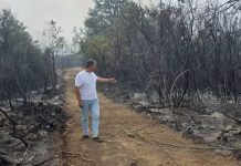 Blushi: Situatë alarmante nga zjarret në Priskë