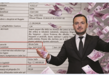U bë i biri minister i Bujqësisë, prindërit e Andis Sallës “kapin” tregun e pesticideve