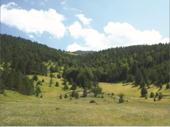 Pëllumb Gorica   Një udhëtim  ku koha ka ndaluar dhe natyra ka skalitur mrekulli 