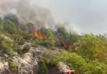 Zjarr në Përlat të Mirditës, flakët rrezikojnë banesat dhe shkollën e fshatit