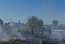 Zjarri përfshin sipërfaqen me bimësi në fshatin Lalm i Ri, flakët pranë disa banesave