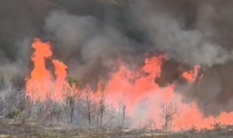 Alarm në Qinam të Tiranës  Zjarr pranë depos së dinamitit  forcat e emergjencës në vendngjarje