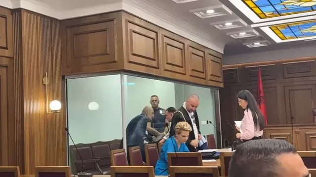 Mungoi Rudina Palloj  shtyhet sërish gjyqi për Ilir Metën dhe Monika Kryemadhin