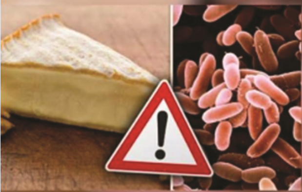 Skandali me djathin Brie  120 kg me Listeria iu shitën konsumatorëve  AKU shpëton kompaninë vetëm me gjobë