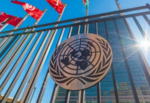 22 shtete kërkojnë që inteligjenca artificiale të mbetet “nën kontrollin e njeriut”