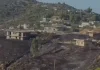 Ndezi zjarr në oborrin e banesës, por flakët dogjën një sipërfaqe toke dhe rrezikuan banesat, pranga 60-vjeçarit në Vlorë