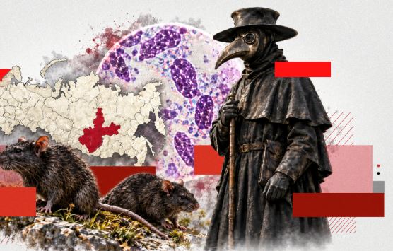 Murtaja misterioze e Siberisë  Rusia mohon përhapjen e virusit  Nuk u gjet asgjë nga 5 mijë testime